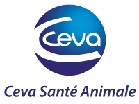 Company name